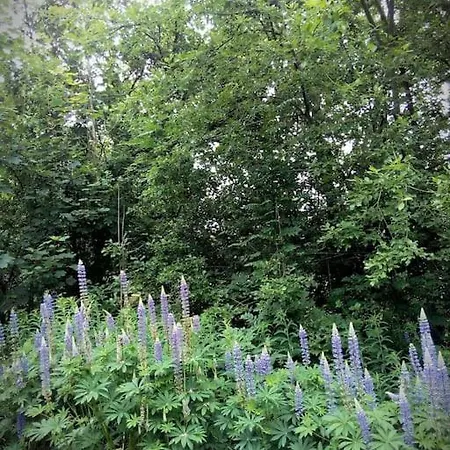 La Petite Maison Des Gres 度假居 Gueutteville-les-Gres