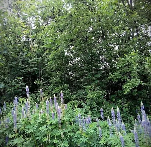 La Petite Maison Des Gres Nyaraló Gueutteville-les-Gres