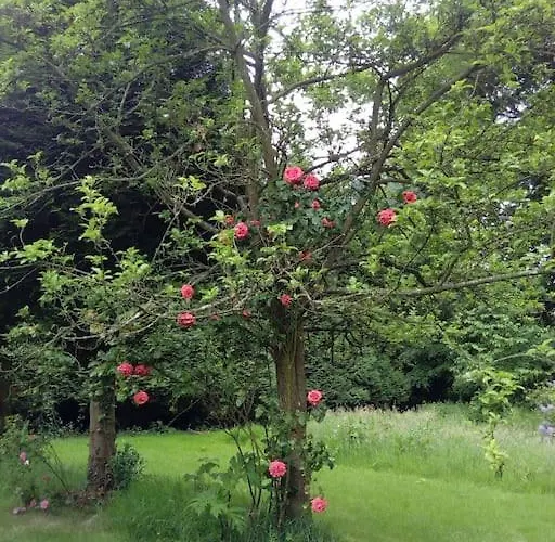 La Petite Maison Des Gres *
